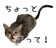 843714940
