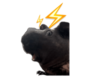 843714992