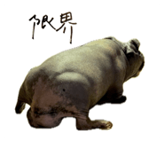 843714993