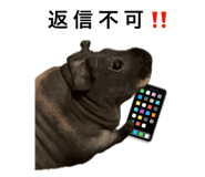 843715001