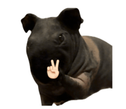 843715003