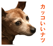 843715130