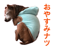 843715134