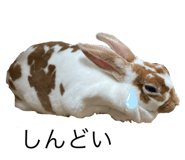843715292