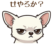 843716620