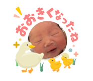 843716992