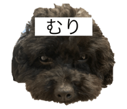 843717084