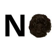 843717085