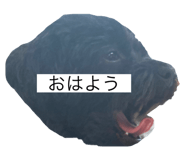 843717087
