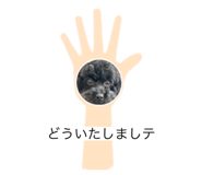 843717088