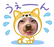 843717549
