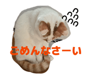 843717594