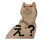 843717598