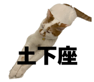 843717599