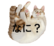 843717600