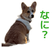 843717644