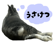 843717865