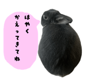 843717868