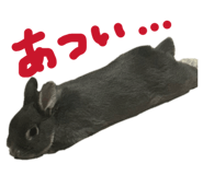843717869