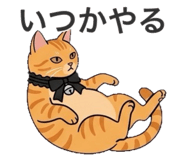 843718063