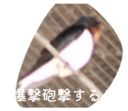843718731