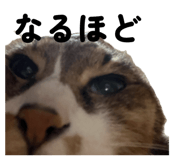 843719399