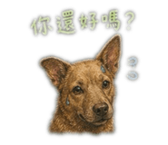 843719453
