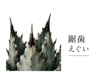 843719740
