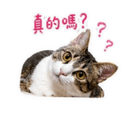843720392