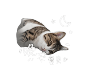 843720423
