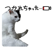 843720905