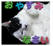 843720907