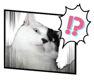 843720908