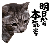 843720912