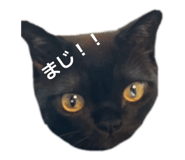 843721126