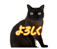 843721134