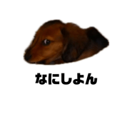 843721248