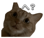 843721353