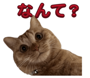 843721356