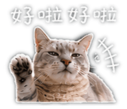 843722105