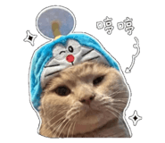 843724394