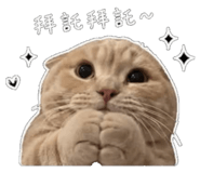 843724396