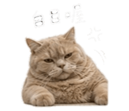 843724408