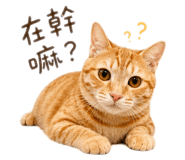 843724881