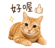 843724882