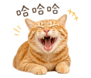843724883
