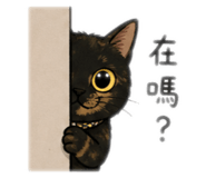 843725138