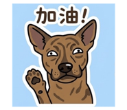 843725520
