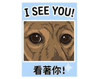 843725525