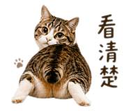 843726010